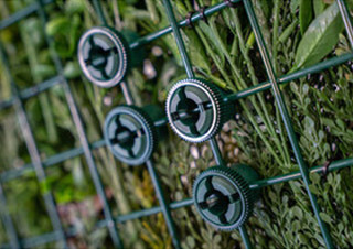 Category image for Artificial Green Wall