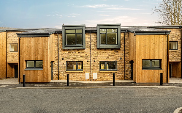 Modern housing with cladding