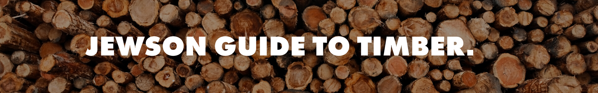 Timber Guide Banner 