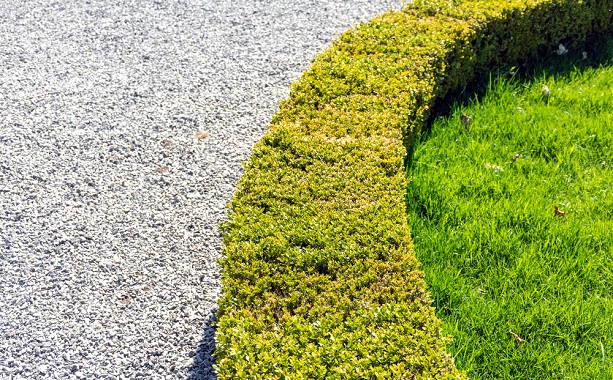 aggregate driveway