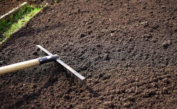Raking topsoil