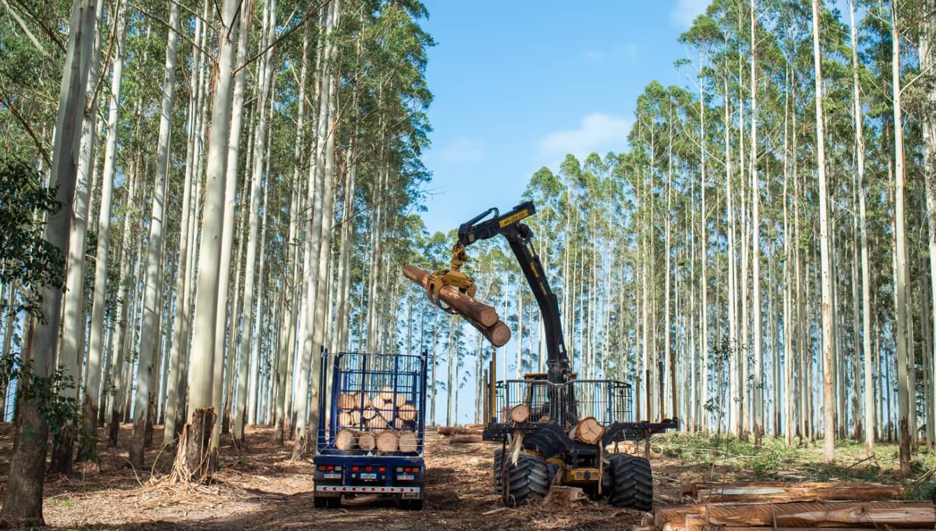 International Timber Cladding | Jewson